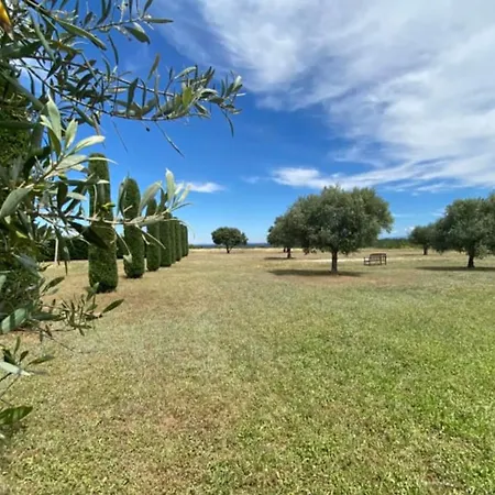 04b7 Beautiful T3 In The Heart Of Lavender - Pool * Brunet