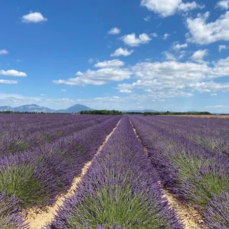 04b7 Beautiful T3 In The Heart Of Lavender - Pool Appartement