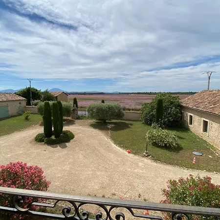 04b7 Beautiful T3 In The Heart Of Lavender - Pool Appartement